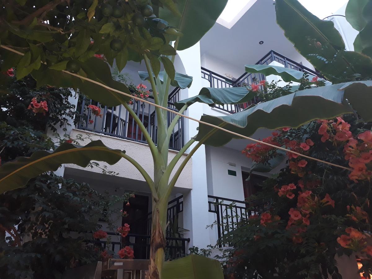 Anthi Katerina Rooms Platanés エクステリア 写真